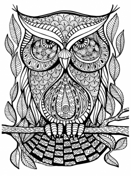 Best-Adult-Coloringbooks-Owl-Rainbow-Doodlers