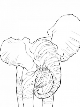 Cindy-Elsharouni-World-of-Creativity-Baby-Elephant