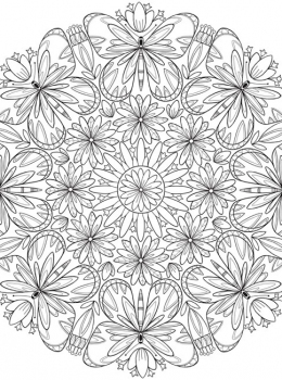 Butterfly-Mandalas-Page-3