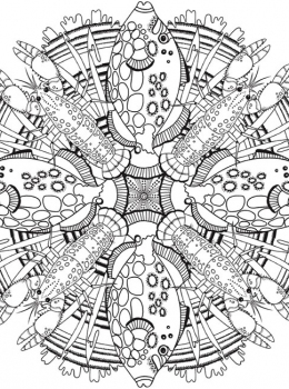 Creative-Haven-Deluxe-Edition-Sea-Life-Mandalas-Page-4