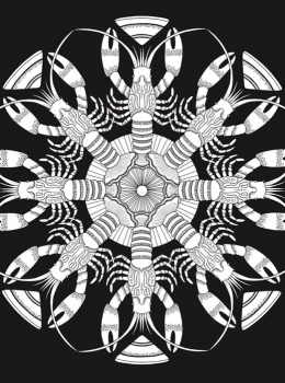 Creative-Haven-Deluxe-Edition-Sea-Life-Mandalas-Page-6