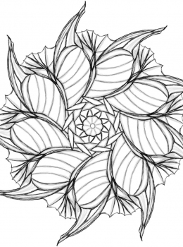 rbd-adult-colouring-mandala32