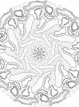 rbd-adult-colouring-mandala33