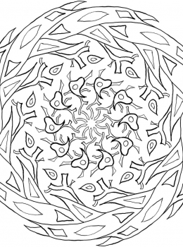 rbd-adult-colouring-mandala37