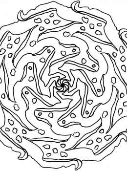 rbd-adult-colouring-mandala38