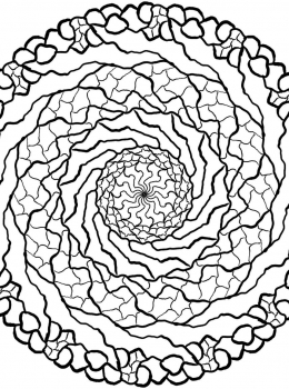 rbd-adult-colouring-mandala41