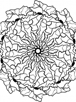 rbd-adult-colouring-mandala42