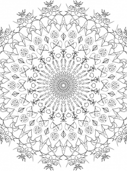 rbd-adult-colouring-mandala49
