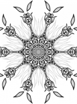 rbd-adult-colouring-mandala59