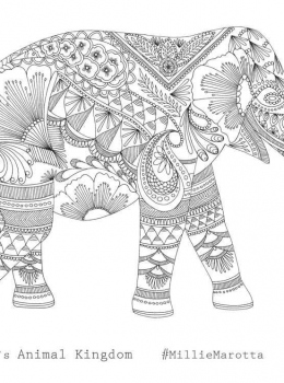 Millie-Marotta-Animal-Kingdom-Elephant
