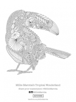 Millie-Marotta-Tropical-Wonderland-Toucan