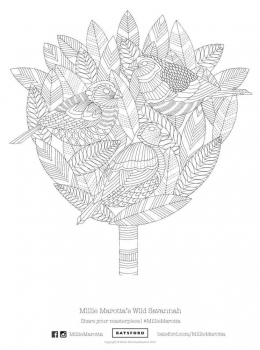 Millie-Marotta-Wild-Savannah-Barred-Finches