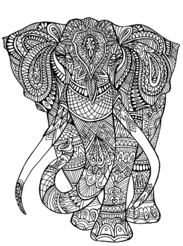 Public-Domain-Adult-Coloring-Page-Elephant