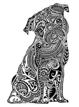 Public-Domain-Adult-Coloring-Page-Little-Bulldog