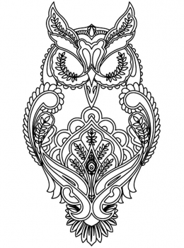 Public-Domain-Adult-Coloring-Page-Owl