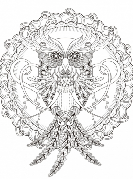 Public-Domain-Beautiful-Owl-in-a-Mandala-by-kchung