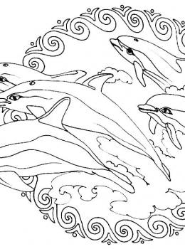 Public-Domain-mandala-to-color-animals-frees-dolphins
