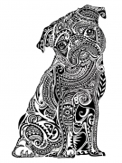 Public-Domain-Adult-Coloring-Page-Little-Bulldog