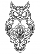 Public-Domain-Adult-Coloring-Page-Owl