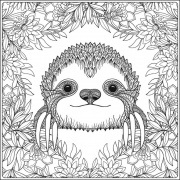 Public-Domain-Sloth